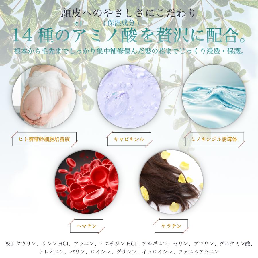 ミトコリーナ(MITOCOLiNA) 葉酸500μg配合エイジングケア未開封新品