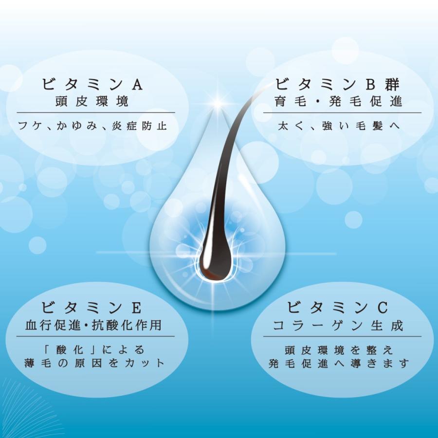 Vi Plus Ex 男女兼用 育毛剤 医薬部外品 Viplusex育毛剤 ヴィプラス 育毛ローション 無添加 低刺激 センブリ 有効成分 薬用育毛剤 Vi 01 A Style 公式 通販 Yahoo ショッピング