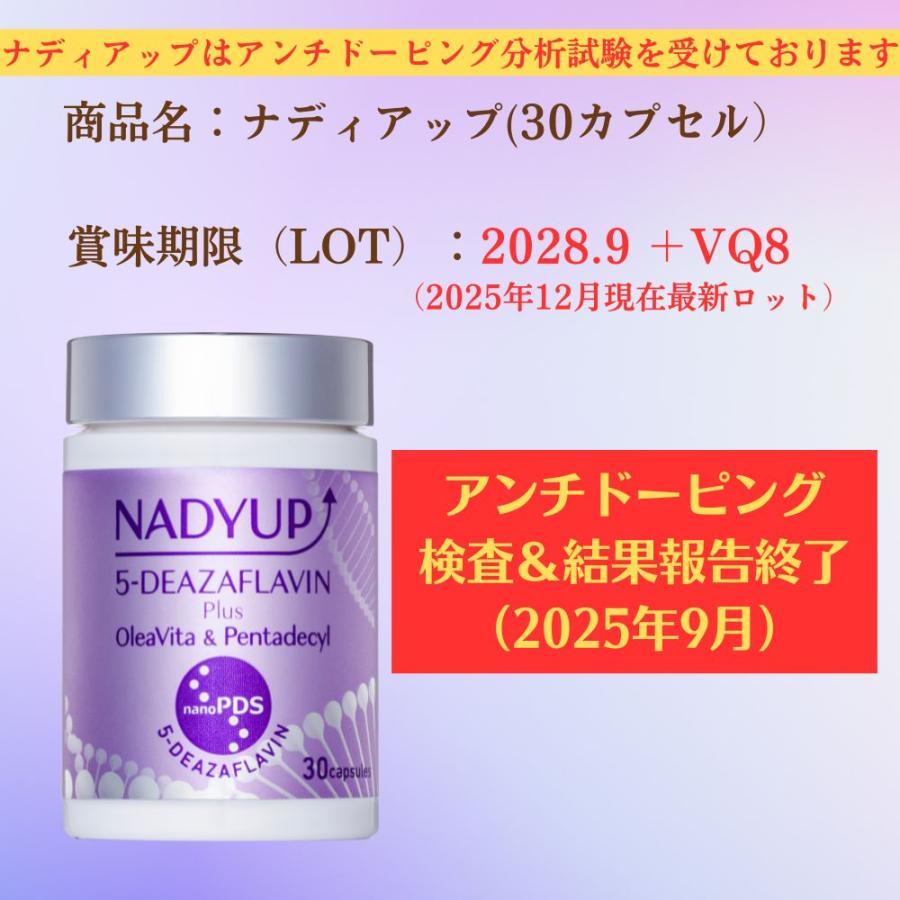 公式：国産デアザフラビンTND1128配合】＜ナディアップ（30