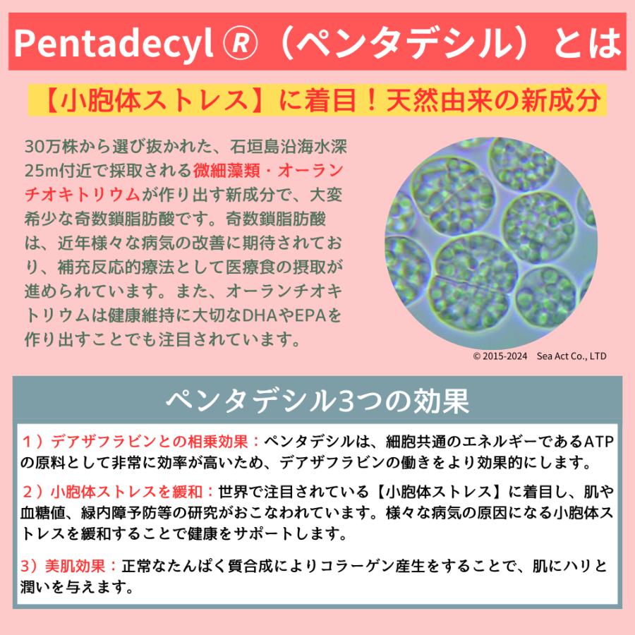公式：国産デアザフラビンTND1128配合】＜ナディアップ60