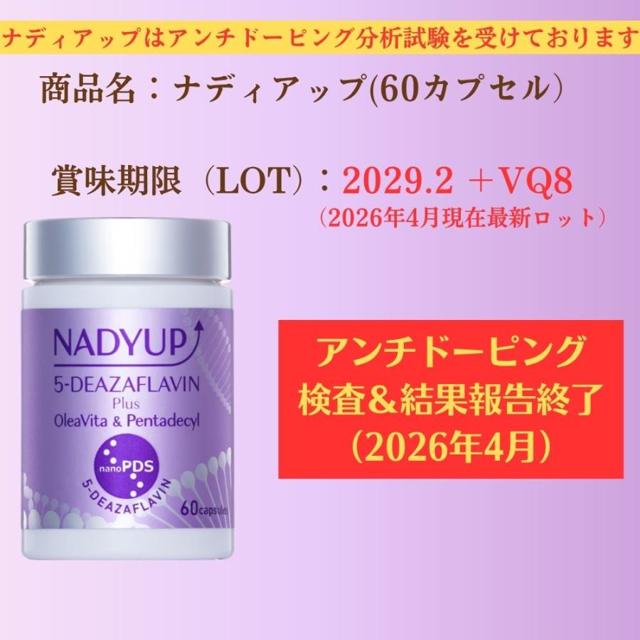 公式：国産デアザフラビンTND1128配合】＜ナディアップ60カプセル）＞5 