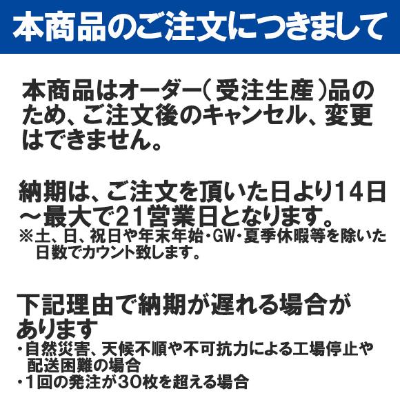 受注生産 MIZUNO ミズノ ストリームエース オリジナルカラー N2JQ1226-A09B07C09D37E37 レディス ハーフスーツ 練習水着 競泳 女性 ネコポス発送 代引き不可 | MIZUNO | 01