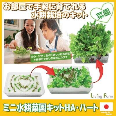ミニ水耕菜園キットha ハート Lfs 372 水耕栽培 キット 水耕栽培器 家庭菜園 水栽培 ベランダ菜園 レタス Vie Shop 通販 Yahoo ショッピング
