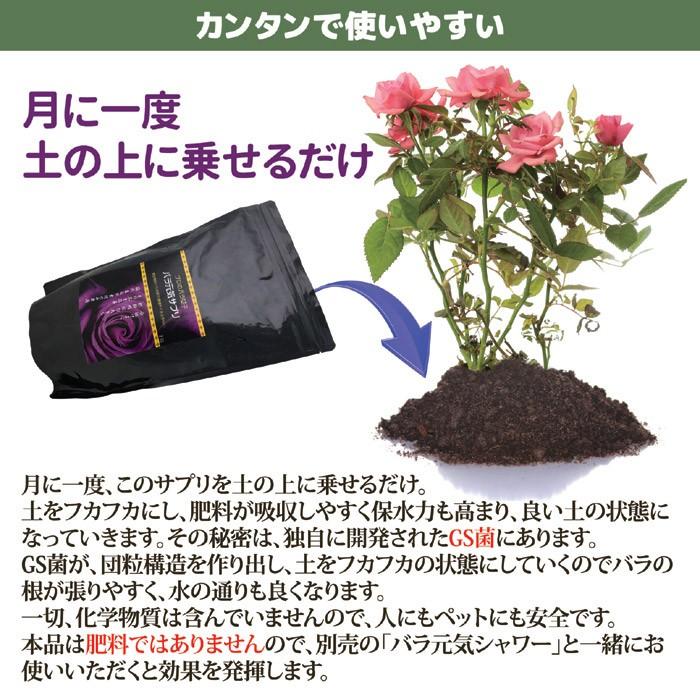 バラ元気サプリ バラ ガーデニング 薔薇 ガーデン 肥料 園芸 土壌改良 有機 上田微生物 日本製 Vie Shop 通販 Yahoo ショッピング