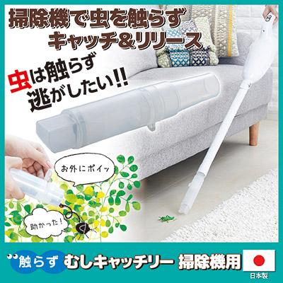 むしさん専用 613wpIS7y1L._AC_UF350,