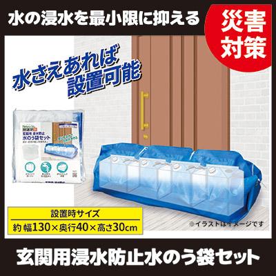 玄関用 浸水防止 水のう袋セット 水嚢袋 逆流防止 浸水対策 台風 水害 大雨 断水 防水 防災グッズ 玄関扉 シャッター ガレージ 排水口 送料無料
