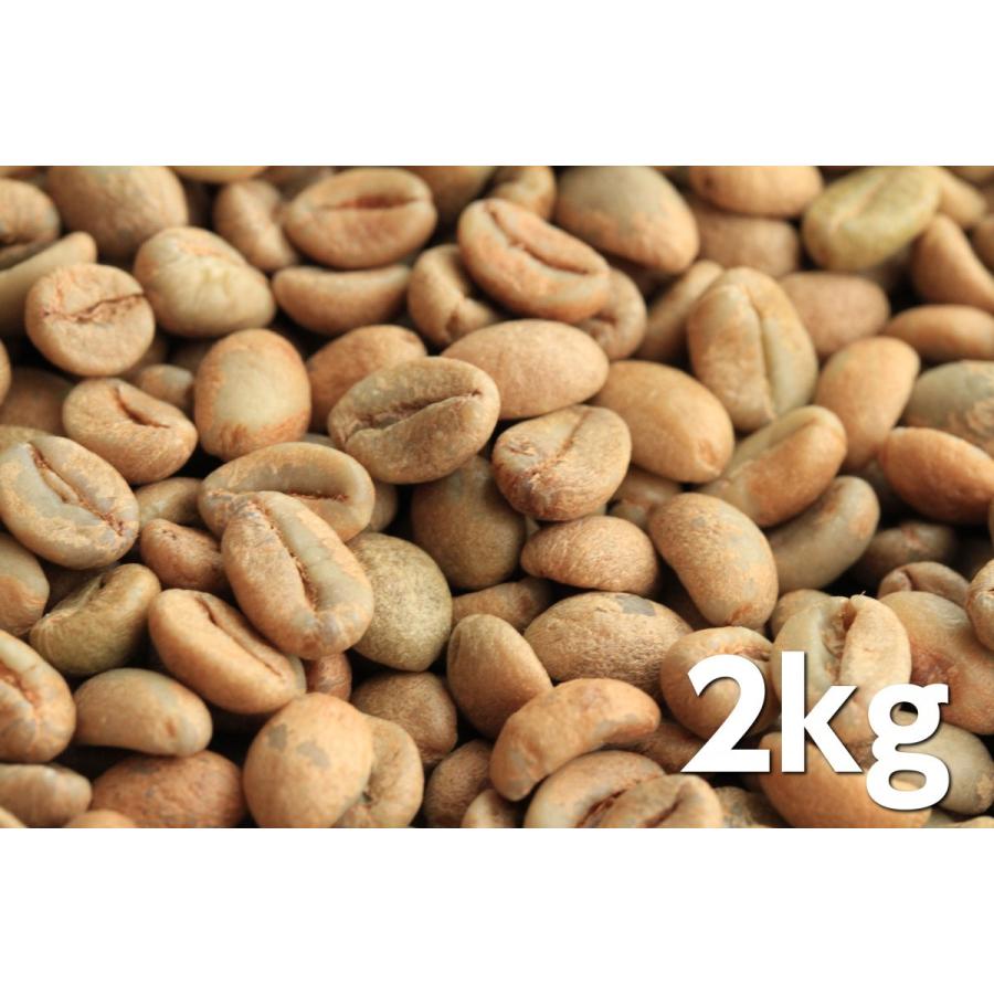 爆安!!【コーヒー生豆】ベトナム/ハニープロセス/ロブスタ5kg ※送料