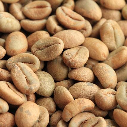 ロブスタ ハニー 200g Future Farm シングルオリジン 珍しいベトナム