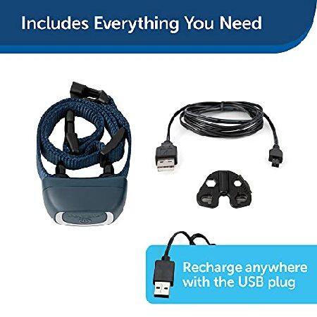 PetSafe 小型犬用バークコントロール 無駄吠え防止 犬 しつけ首輪 犬に優しい 安全＆有効 防水 愛犬しつけ用グッズ 近隣トラブル安眠妨害防止 室内使用可能 愛犬 