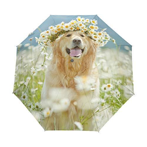 激安通販新作 Wreath Beautiful Dog Retriever Golden Daily My Travel Open/Cl＿【並行輸入品】 Auto Umbrella 雨傘