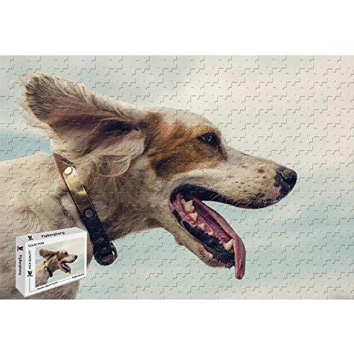 有名な高級ブランド 29 5 壁画装飾 有名な絵画 ハッピーイングリッシュセッター犬木製箱入り