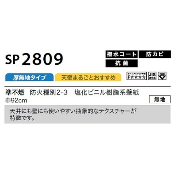 ランキング上位のプレゼント のり無し壁紙 30m巻vt 92cm巾 無地 Sp2809 サンゲツ 壁紙 Www 11thspace Com