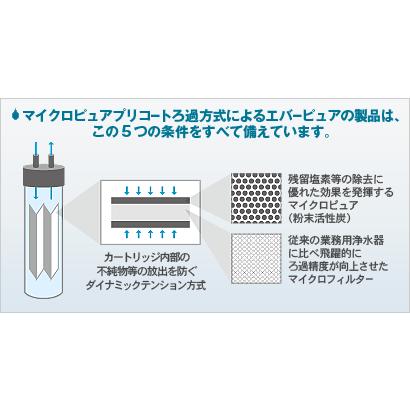 エバーピュア浄水器フィルタカートリッジ 2DC ✡️新品 EVERPURE