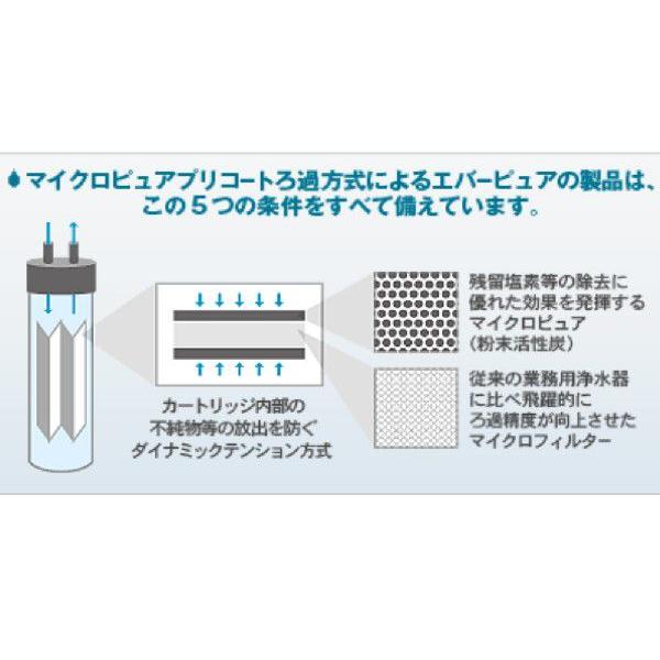 エバーピュア浄水器 ハイフローCSRトリプル 大容量処理可能・フィルタ