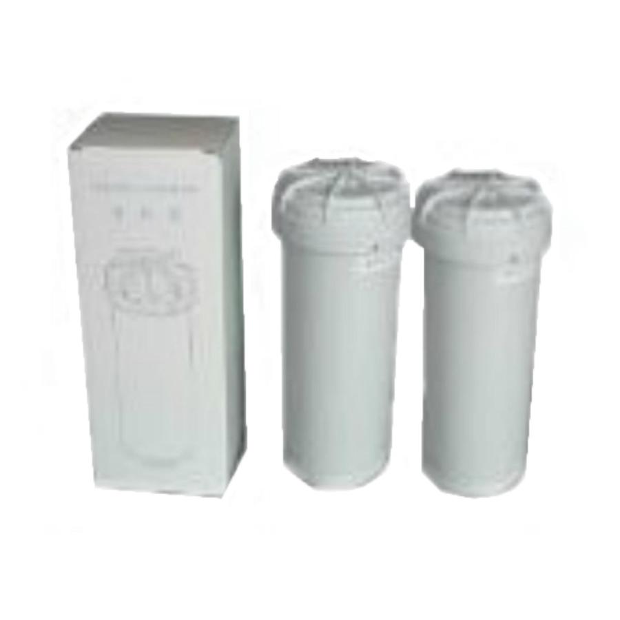 硝酸性窒素 除去 浄水器 ピュアリズムG 専用カートリッジ 2本入り 
