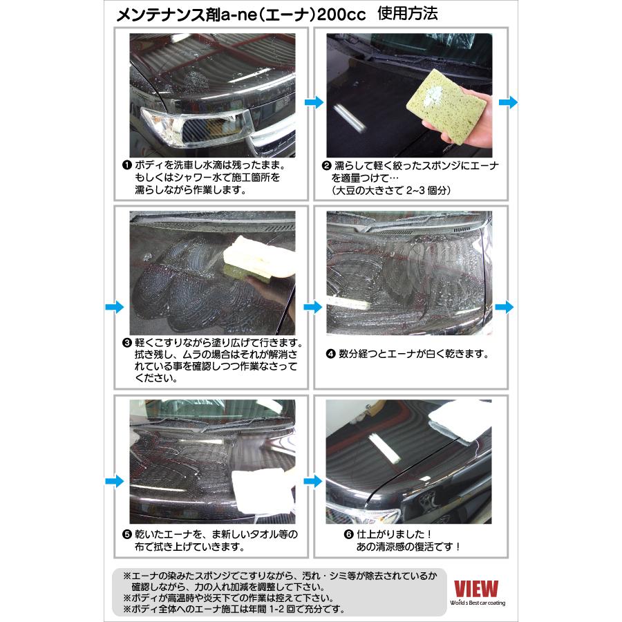VIEW（ビュー） 車 ボティ メンテナンス3点セット「安心君」（カー 