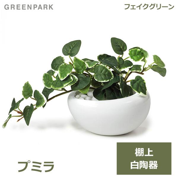 定番の人気シリーズpoint ポイント 入荷 フェイクグリーン ミニ 観葉植物 造花 斑入り プミラ 白 陶器 ｓサイズ 白玉石 エコストーン おしゃれ かわいい 可愛い リビング 卓上 Greenpark Prgr 1300s Se
