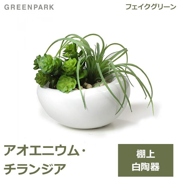 新しいコレクション フェイクグリーン ミニ 観葉植物 造花 アオエニウム チランジア 白 陶器 ｓサイズ 白玉石 エコストーン おしゃれ かわいい リビング Greenpark Prgr 1301s Se