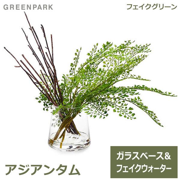 レビューで送料無料 アジアンタム ウォーター トラペゾイド 人工 観葉植物 フェイク グリーン おしゃれ Greenpark グリーンパーク 造花 Prgr 1029 ガラスベース テーブルグリーン 即納特典付き Www Simon Page Com