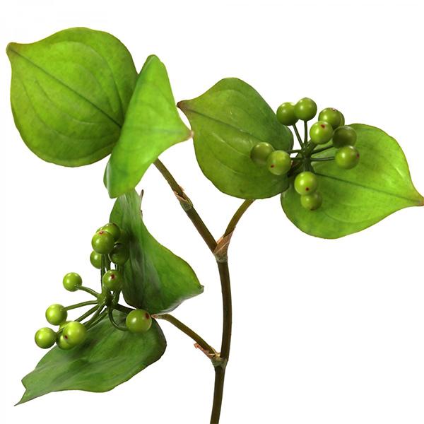 フェイクグリーン 観葉植物 人工観葉植物 造花 卓上サンキライ アジアンタム ウォーター シリンダー テーブルグリーン インテリア 植物 PRGR-1329 GREENPARK 人_4