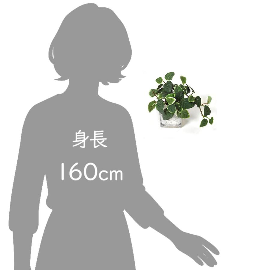 フェイクグリーン 観葉植物 人工観葉植物 造花 卓上 ミニ プミラ シュガーバイン アジアンタム ウォーターキューブ 3個セット 台所 トイレ GREENPARK PRGR-1304の画像