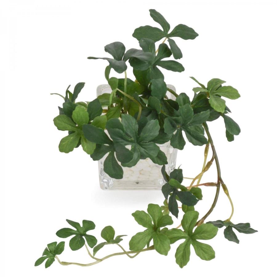 フェイクグリーン 観葉植物 人工観葉植物 造花 卓上 ミニ プミラ シュガーバイン アジアンタム ウォーターキューブ 3個セット 台所 トイレ GREENPARK PRGR-1304の画像
