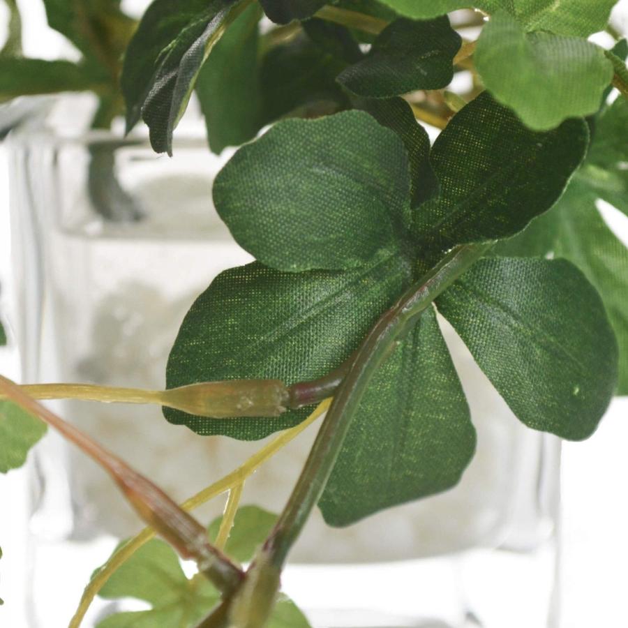 フェイクグリーン 観葉植物 人工観葉植物 造花 卓上 ミニ プミラ シュガーバイン アジアンタム ウォーターキューブ 3個セット 台所 トイレ GREENPARK PRGR-1304の画像