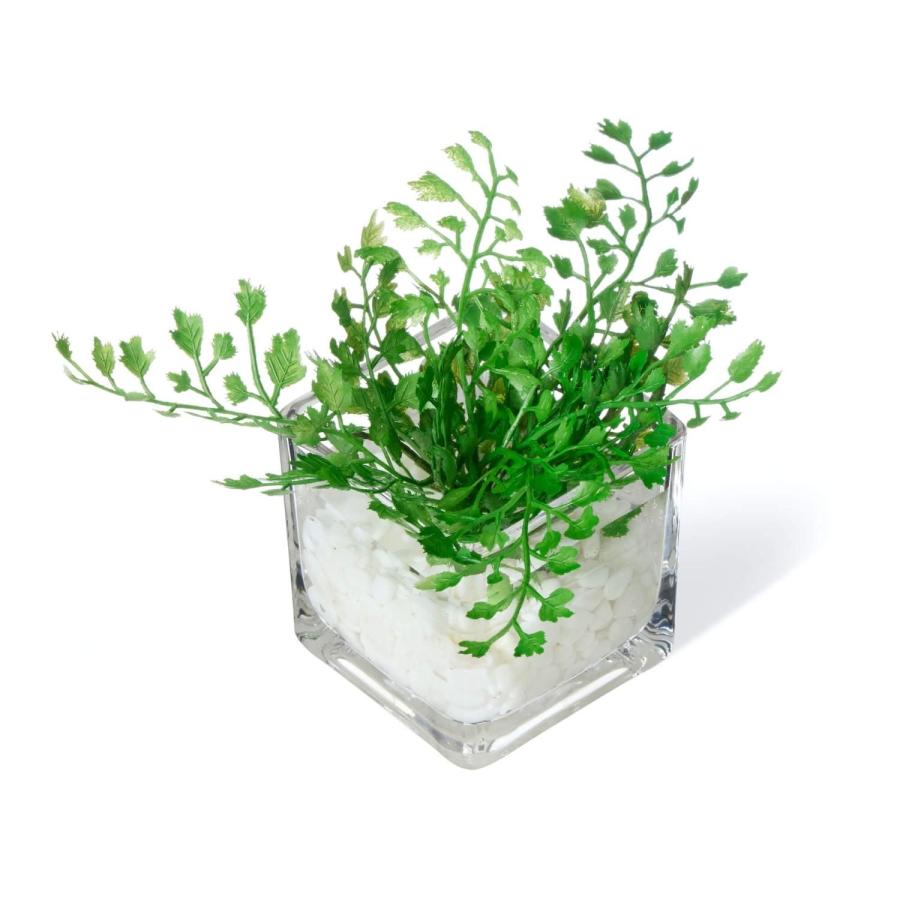フェイクグリーン 観葉植物 人工観葉植物 造花 卓上 ミニ プミラ シュガーバイン アジアンタム ウォーターキューブ 3個セット 台所 トイレ GREENPARK PRGR-1304の画像