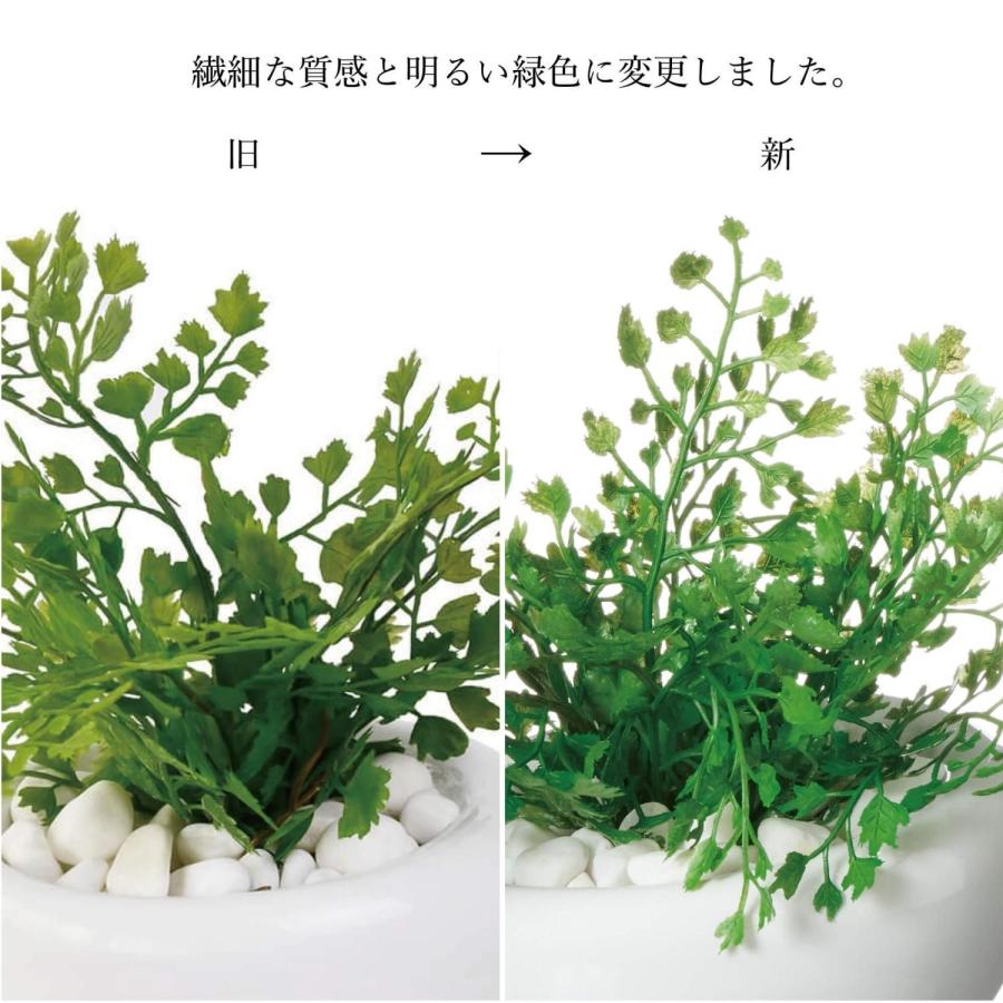 フェイクグリーン 観葉植物 人工観葉植物 造花 卓上 ミニ プミラ シュガーバイン アジアンタム ウォーターキューブ 3個セット 台所 トイレ GREENPARK PRGR-1304の画像