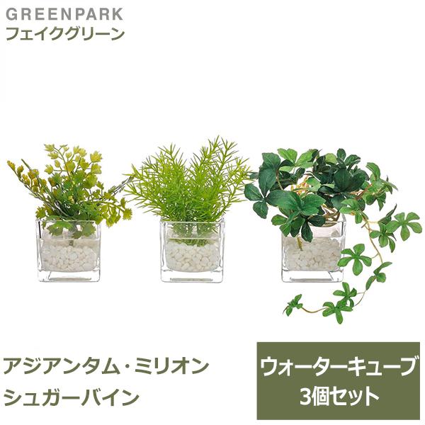 フェイクグリーン 観葉植物 人工観葉植物 造花 卓上 ミニ アジアンタム ミリオン シュガーバイン ウォーターキューブ 3個セット キッチン GREENPARK PRGR-1199