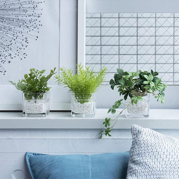フェイクグリーン 観葉植物 人工観葉植物 造花 卓上 ミニ アジアンタム ミリオン シュガーバイン ウォーターキューブ 3個セット キッチン GREENPARK PRGR-1199の画像