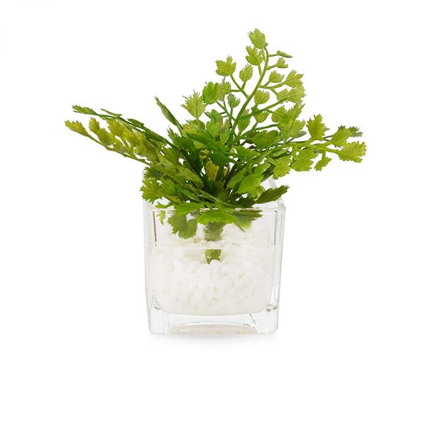 フェイクグリーン 観葉植物 人工観葉植物 造花 卓上 ミニ アジアンタム ミリオン シュガーバイン ウォーターキューブ 3個セット キッチン GREENPARK PRGR-1199の画像