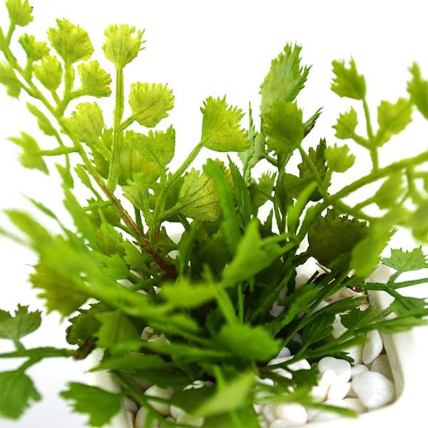 フェイクグリーン 観葉植物 人工観葉植物 造花 卓上 ミニ アジアンタム ミリオン シュガーバイン ウォーターキューブ 3個セット キッチン GREENPARK PRGR-1199の画像