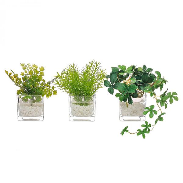フェイクグリーン 観葉植物 人工観葉植物 造花 卓上 ミニ アジアンタム ミリオン シュガーバイン ウォーターキューブ 3個セット キッチン GREENPARK PRGR-1199の画像