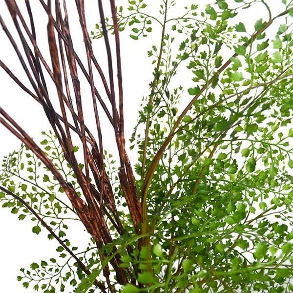 フェイクグリーン 観葉植物 人工観葉植物 造花 卓上 アジアンタム ウィロー ガラスシリンダー 植物 フロアグリーン グリーンパーク GREENPARK H105cm PRGR-1032の画像