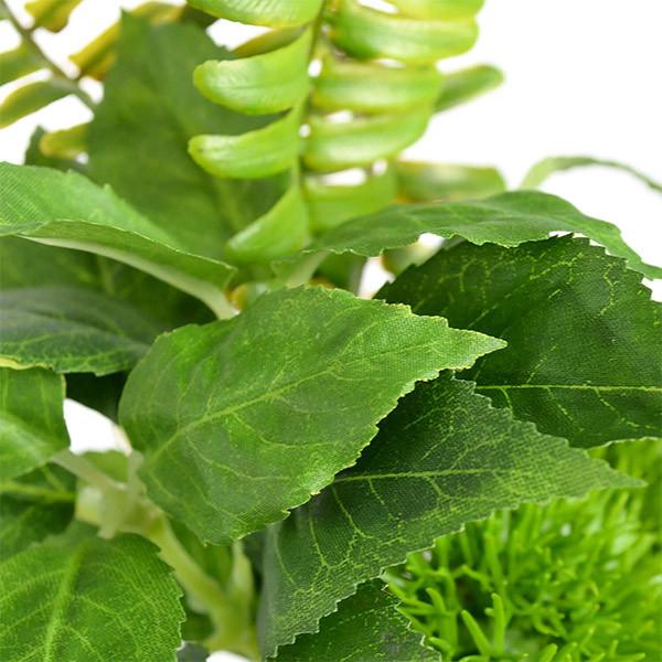 盆栽 桜 の 葉 寄せ植え 檜 炭 ボール マリモ シダ 黒皿 CUPBON