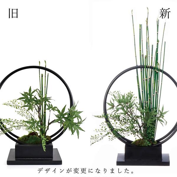 盆栽 モミジ 青モミジ トクサ アジアンタム 寄せ植え リングベース S