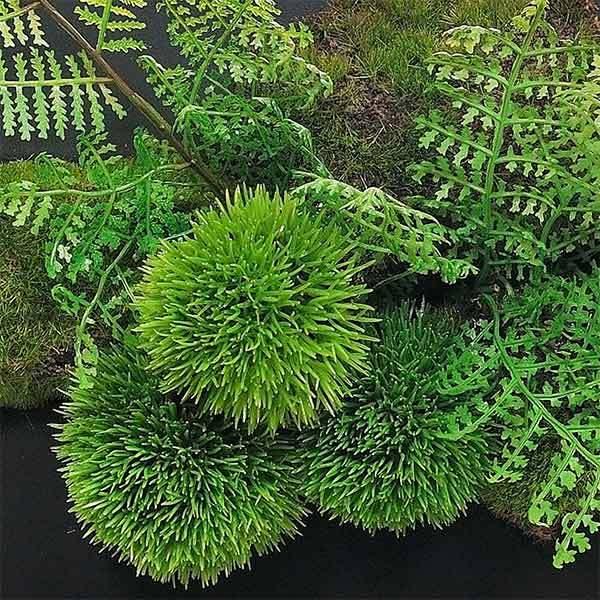 盆栽 マリモ シノブ フェイクグリーン 壁掛け 人工 観葉植物 造花 スタンド付 CUPBON シダ植物 ウォールデコM 盆栽 PRGR-1202 フレーム アレンジメント モダン_1