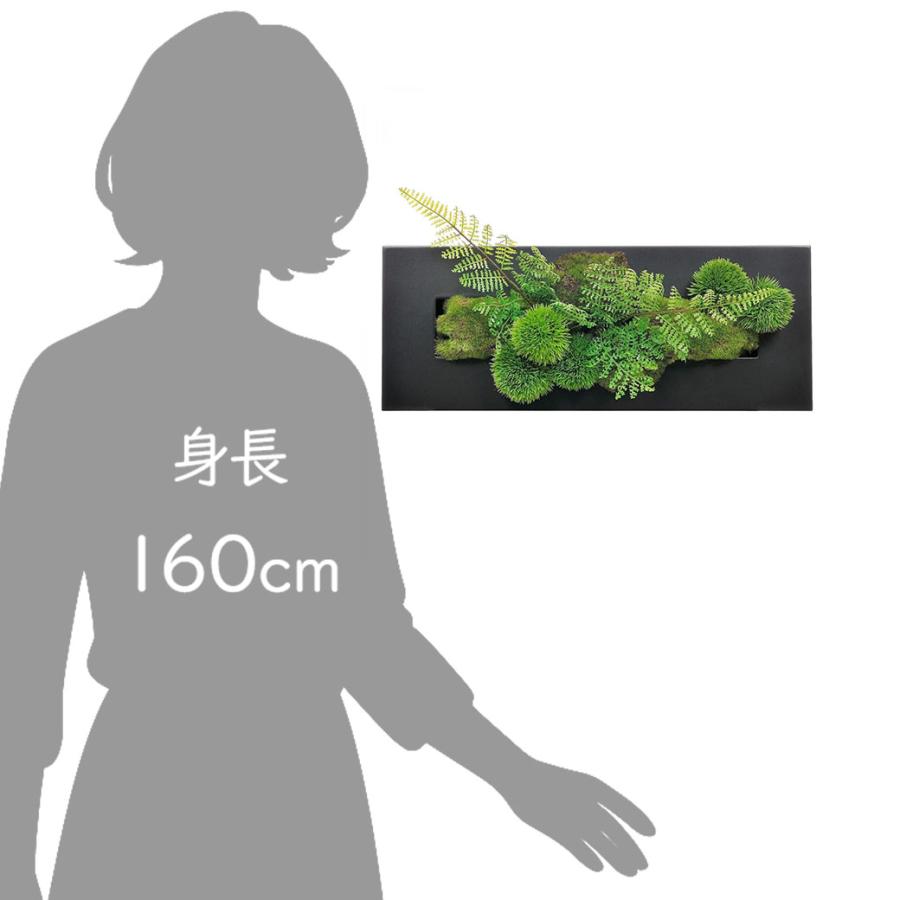盆栽 マリモ シノブ フェイクグリーン 壁掛け 人工 観葉植物 造花 スタンド付 CUPBON シダ植物 ウォールデコM 盆栽 PRGR-1202 フレーム アレンジメント モダン_5