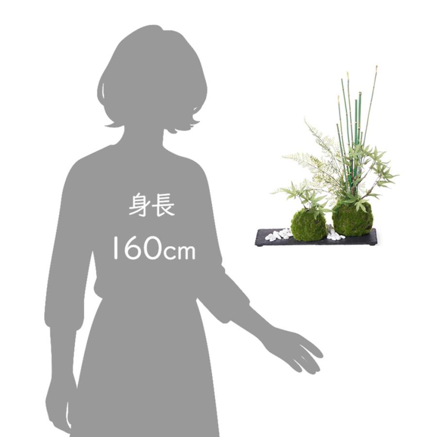 盆栽 モミジ トクサ 苔玉 セット 青紅葉 フェイクグリーン 人工 観葉