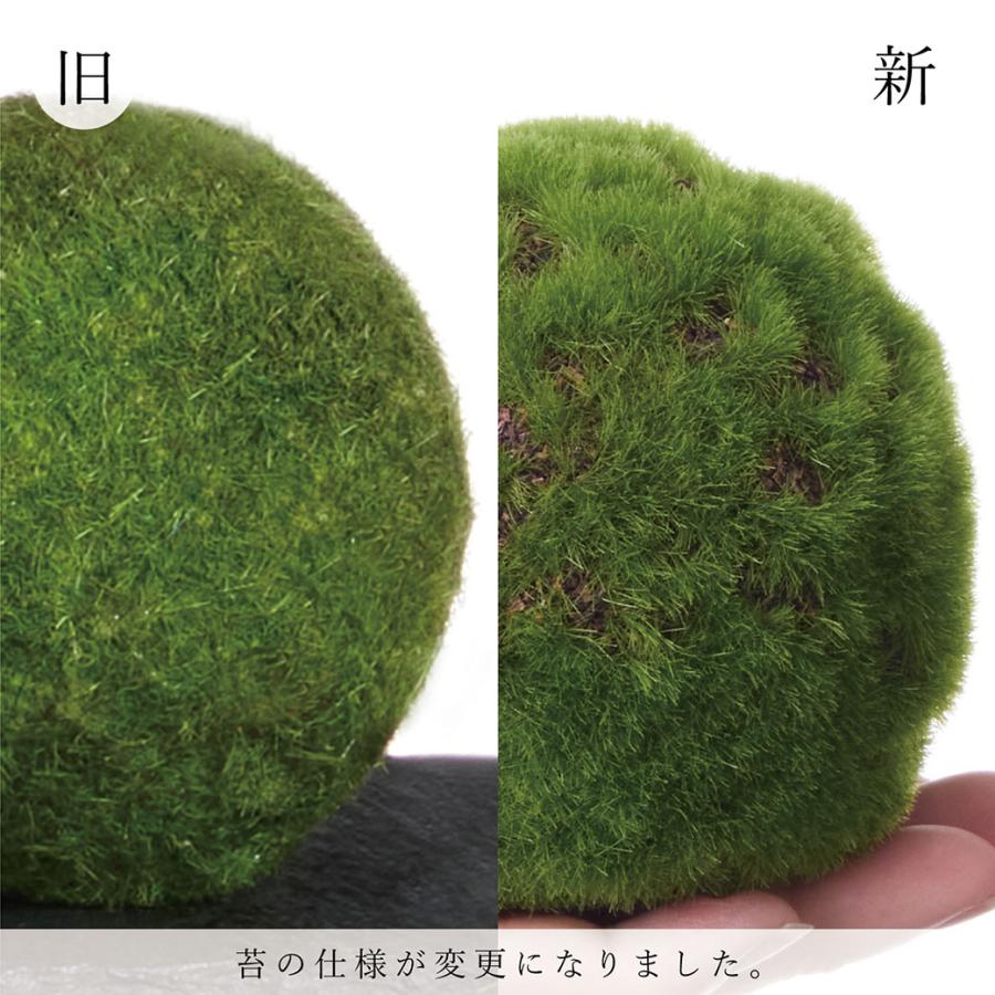 盆栽 モミジ トクサ 苔玉 セット 青紅葉 フェイクグリーン 人工 観葉