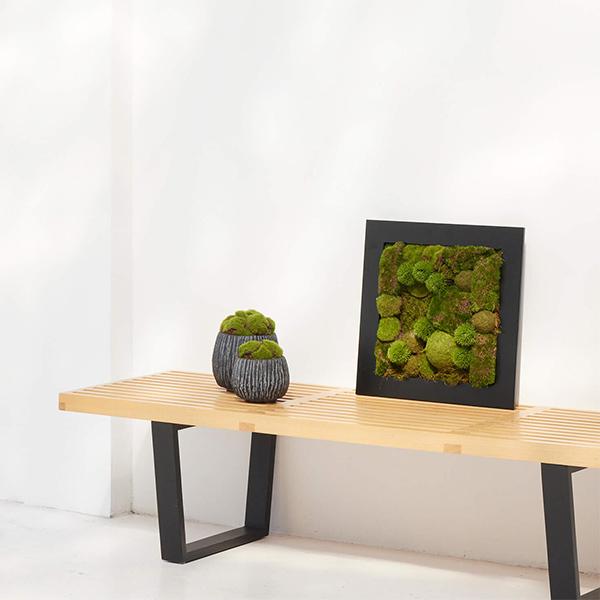 盆栽 苔盆 苔 コケ こけ フレーム フェイクグリーン 造花 リアル