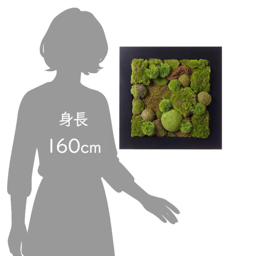 盆栽 苔盆 苔 コケ こけ フレーム フェイクグリーン 造花 リアル