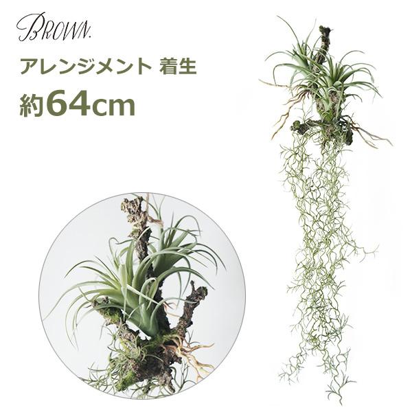 フェイクグリーン 造花 大型 64cm ロング アレンジメント 枝 着生 多肉 植物 人工 インテリア 壁掛け ハンギング 吊るす おしゃれ シンプル 垂らす ギフト プレ（Yahoo!・viewgarden）