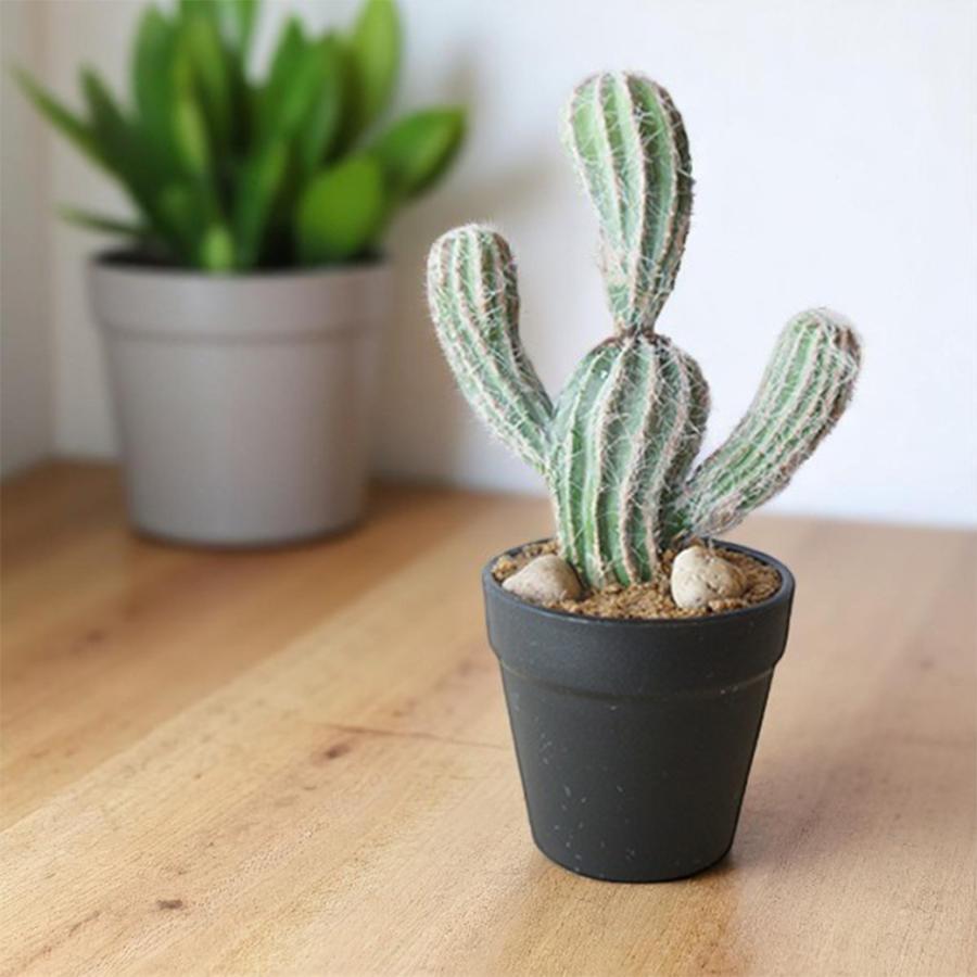 サボテン　フェイクグリーン フェイクグリーン 観葉植物 人工観葉植物 造花 おしゃれ