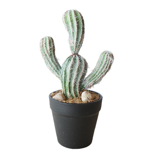 フェイクグリーン 観葉植物 人工観葉植物 造花 おしゃれ サボテンミニ