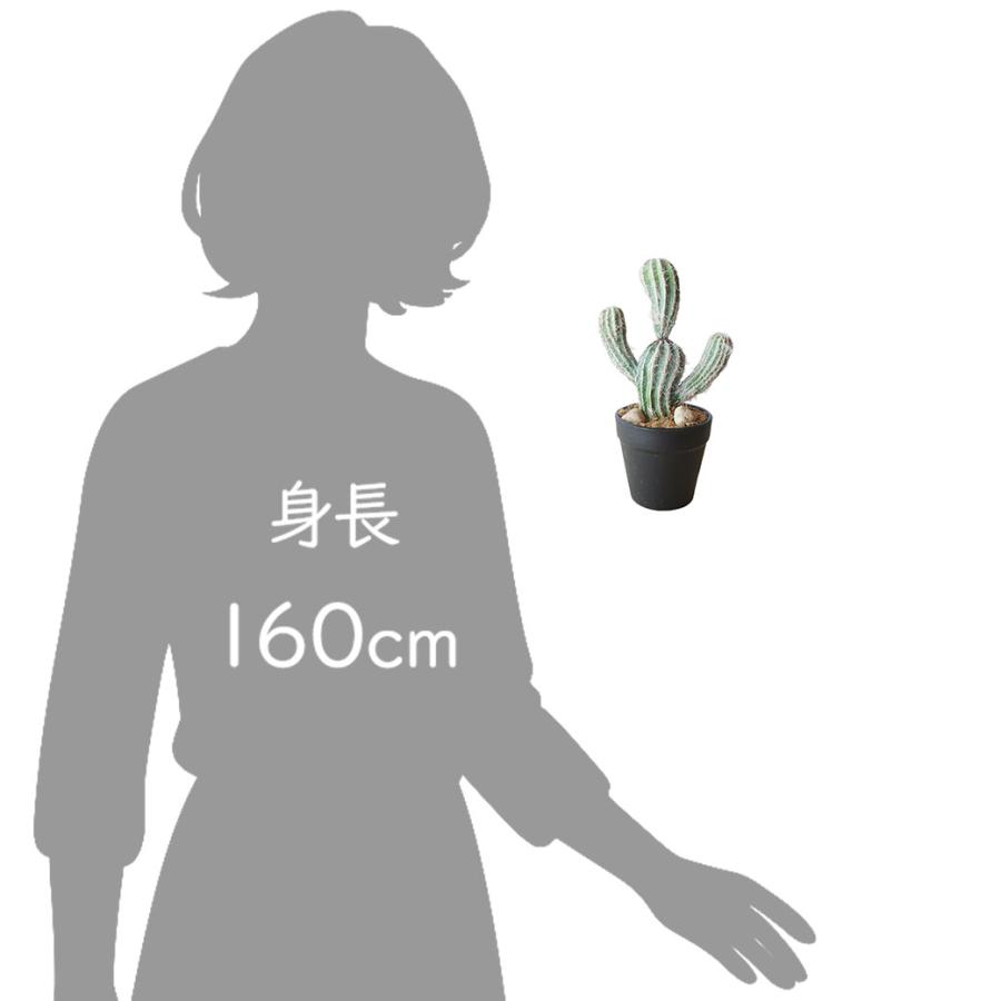 フェイクグリーン 観葉植物 人工観葉植物 造花 おしゃれ サボテンミニ