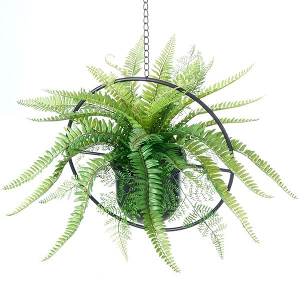 観葉植物　フェイクグリーン　タマシダ　アイアンハンギング Amazon｜GREENPARK タマシダ アイアンハンギング 観葉植物 フェイク