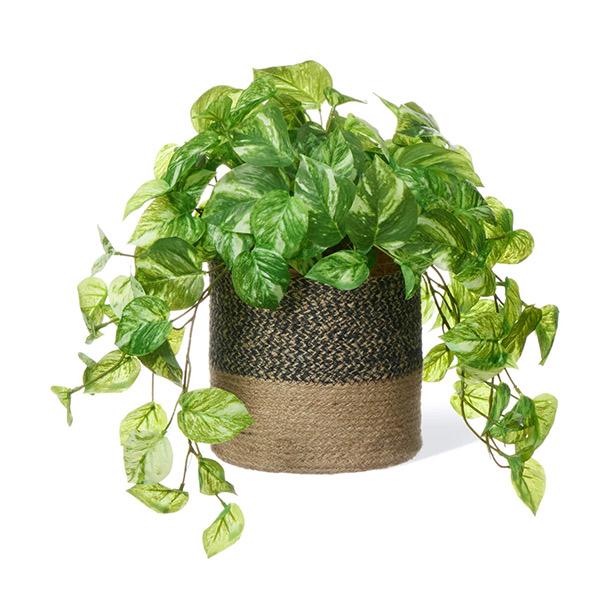 フェイクグリーン 観葉植物 人工観葉植物 造花 卓上 フェイク インテリア リアル おしゃれ ポトス ジュートポット 37cm リビング 寝室 玄関 PRGR-1472 GREENPARKの画像