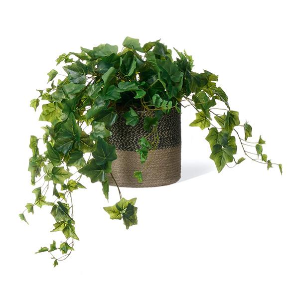 人工植物 フェイクグリーン 卓上 リアル 卓上 人工観葉植物 ストエキ 公式